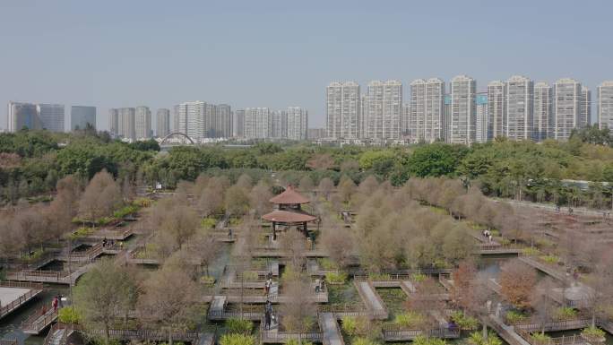 厦门风景