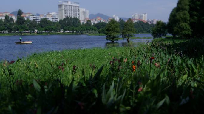 湿地公园