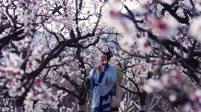 古代大夫采药诗人赏花杏花