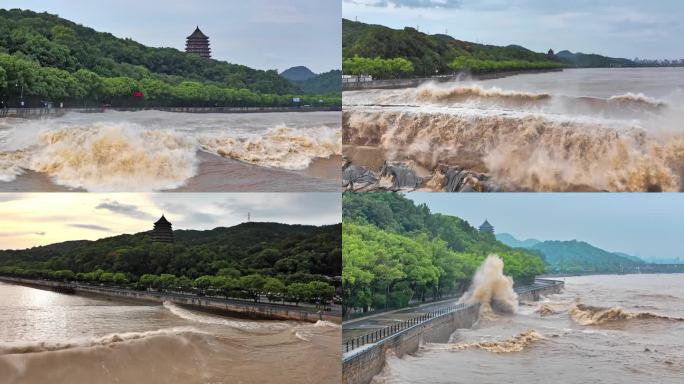 钱塘江大潮钱塘江大桥六和塔六和听涛