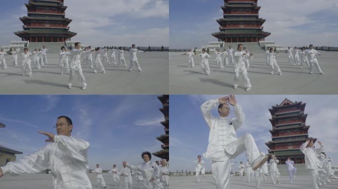 大气太极拳 太极拳 一代宗师 黄河边