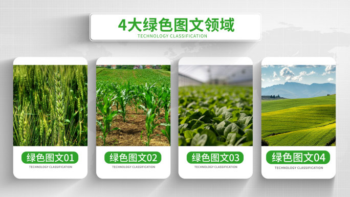 无插件-4大简洁绿色构架图文分类AE模板