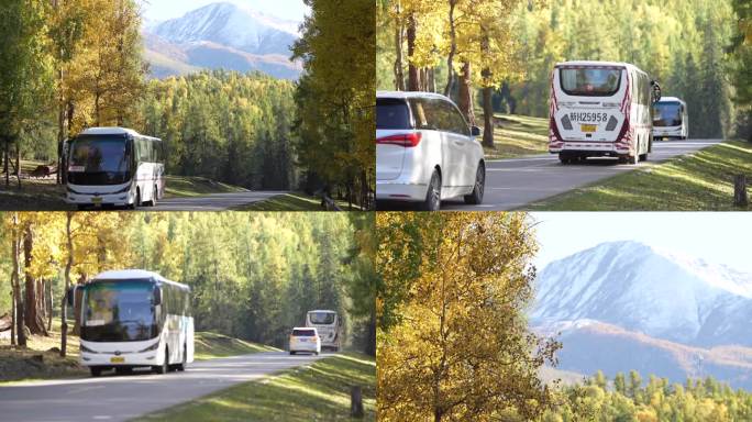 森林秋景行车