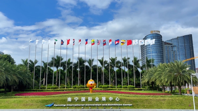 2024第21届中国东盟博览会 各国旗帜