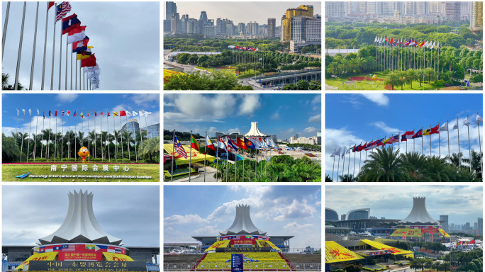 2024第21届中国东盟博览会 各国旗帜
