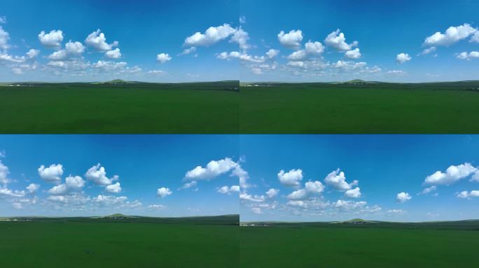 草原天然牧场 草原牛羊 草原天空