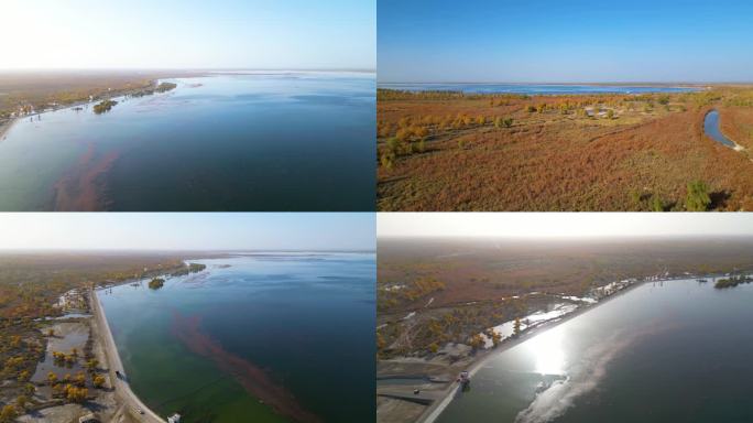 新疆大寨湖湿地  水库A