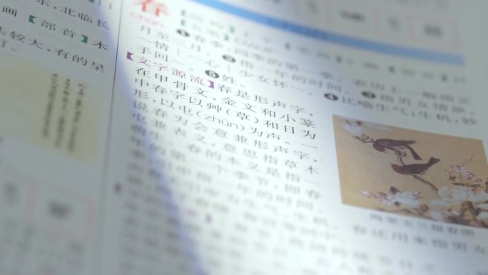 查阅新华字典