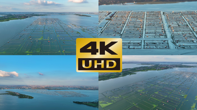 阳澄湖大闸蟹养殖航拍Ⅱ