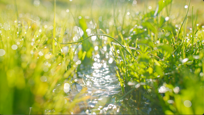 小河溪流灌溉水源草地