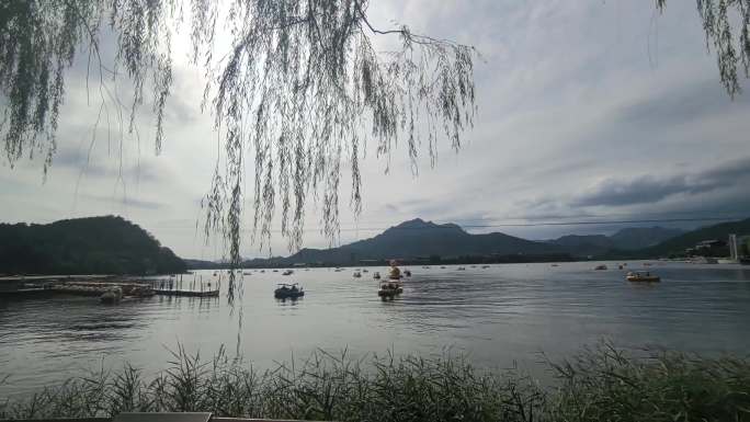雁西湖美景唯美山水湖面柳树船只