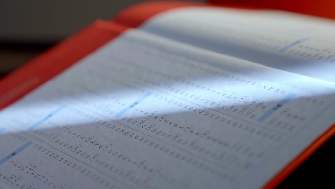 查阅新华字典