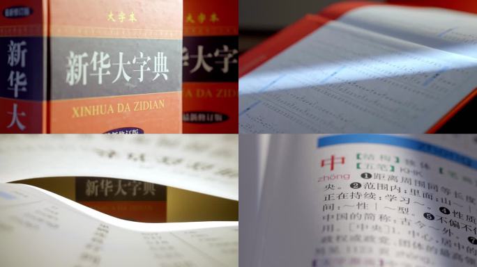 查阅新华字典