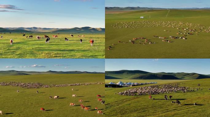 呼伦贝尔大草原