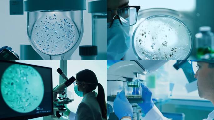 科学家检查细胞生长的样本培养皿
