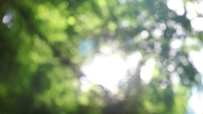 清晨阳光文艺时间光影