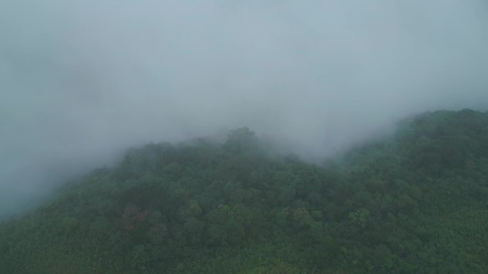 云雾缭绕 山雾风景 人间仙境 仙气飘飘