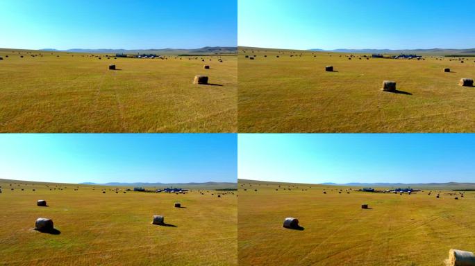 秋天的草原 呼伦贝尔草原