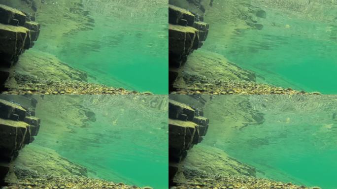 [4k]静止拍摄水底世界