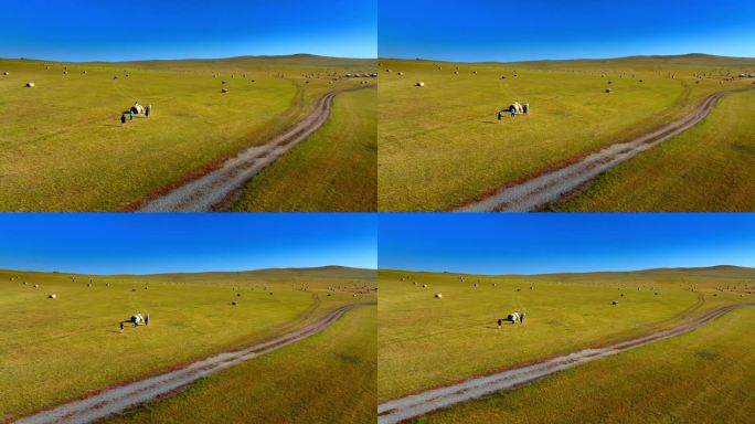 秋天的草原 呼伦贝尔草原