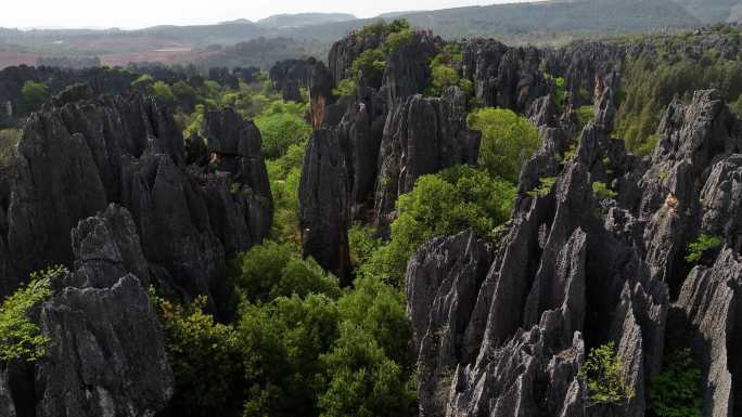 云南昆明石林县乃古石林航拍自然风光