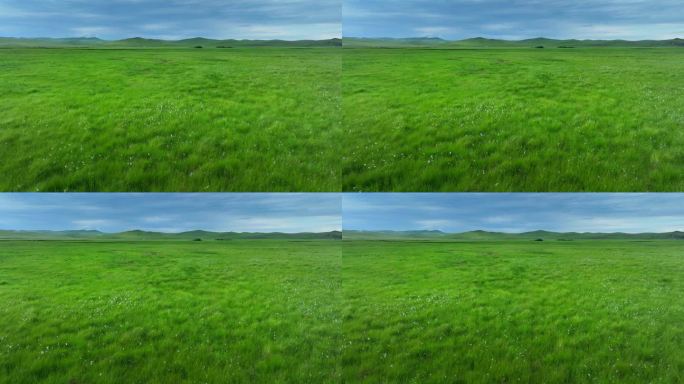 草原蓝天白云 草原天然牧场素材