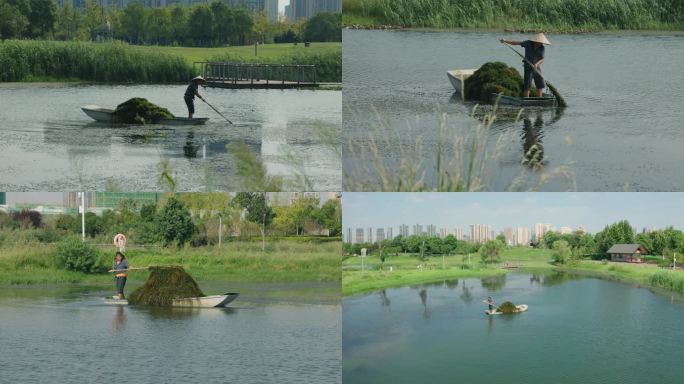 清理湖泊河道水中杂草的人