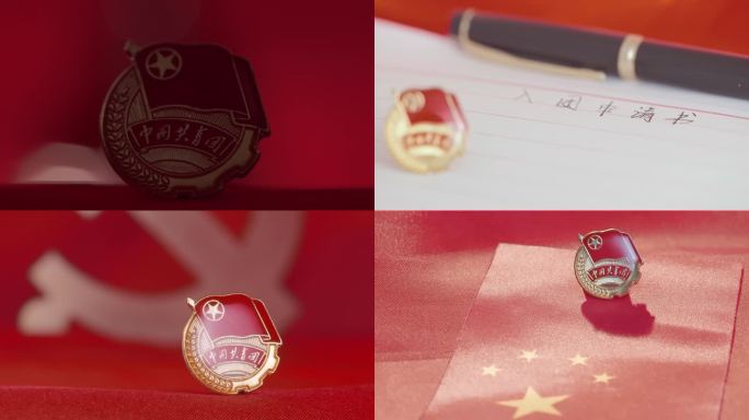 中国共青团 入团申请 徽章 青年节