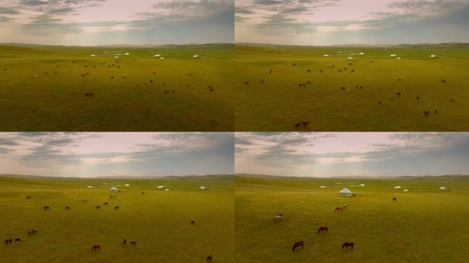 秋天的草原 呼伦贝尔草原