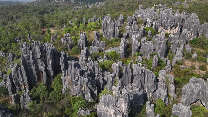 云南昆明石林县石林风景区航拍地质风光