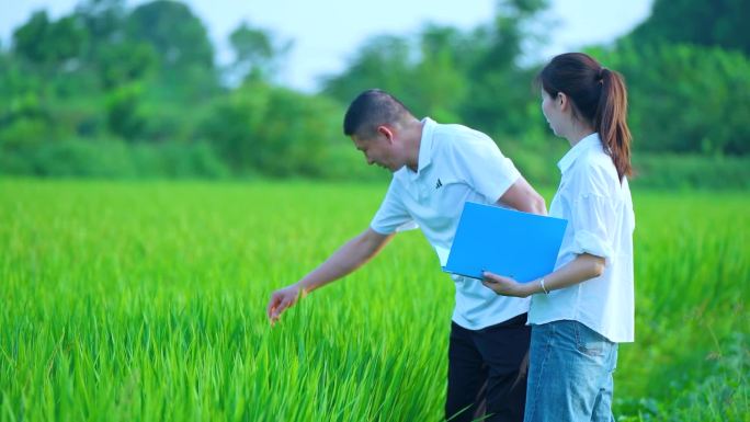 气象局外出 检测 农田测气象 气象