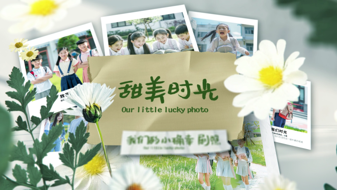 温馨花卉光影贴纸相册照片图文AE模版