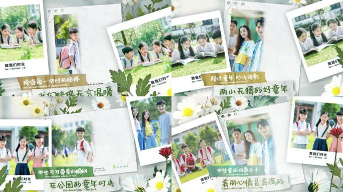 温馨花卉光影贴纸相册照片图文AE模版