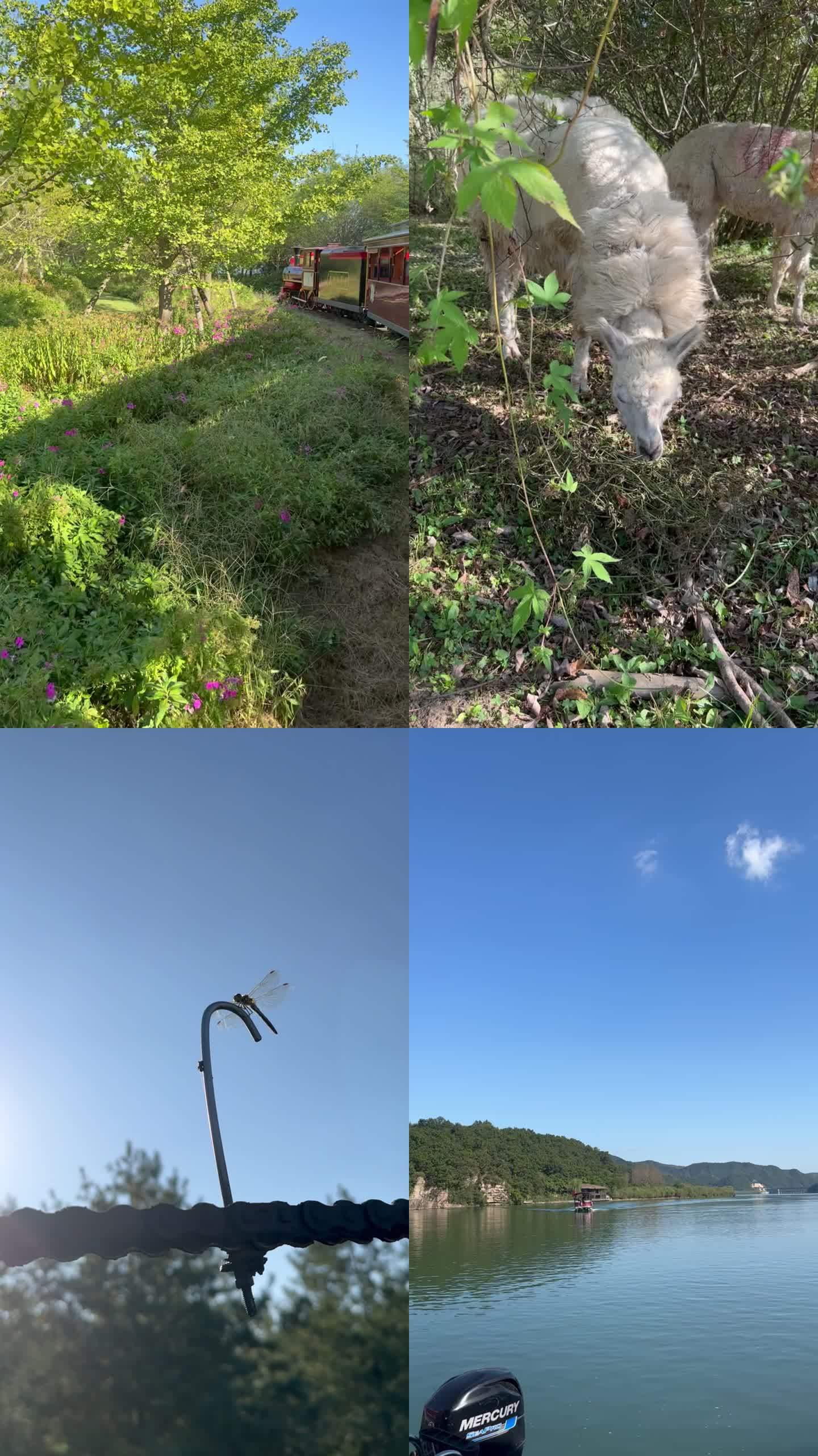 爱河风景区素材