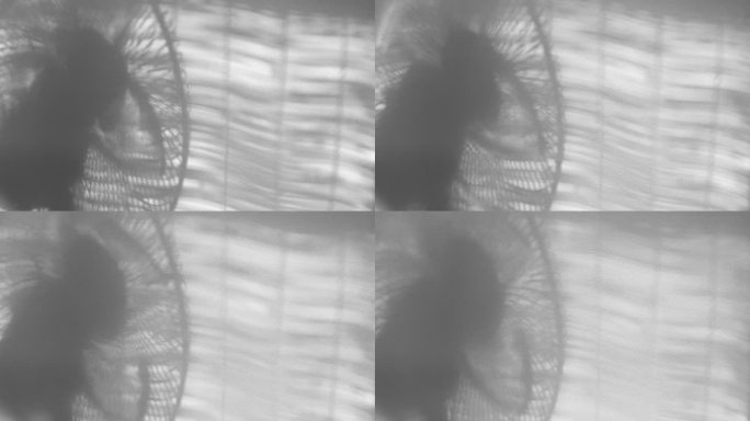 白色背景的日本窗帘和扇子的影子