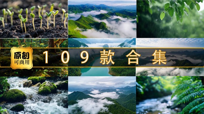 原始森林航拍中国花开延时发芽自然生态环境