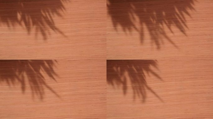 竹树的影子在木墙的背景、背景上随风摇曳