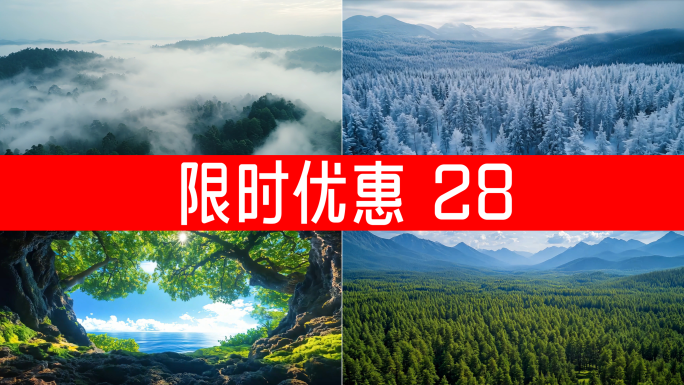 森林航拍森林树林自然景观（集合）