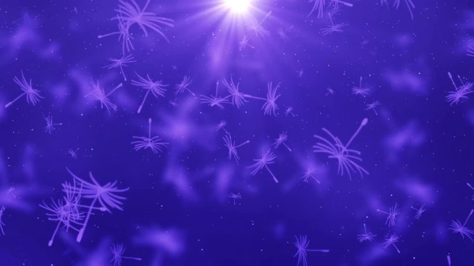 刘惜君美丽心情配乐视频背景无声版