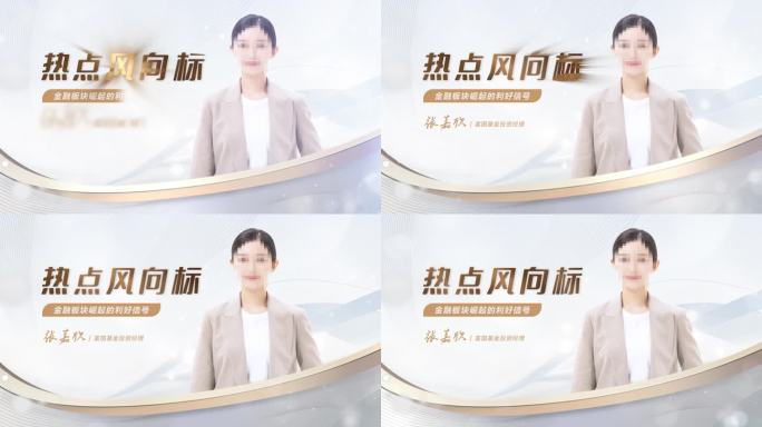 简洁人物介绍灰金款