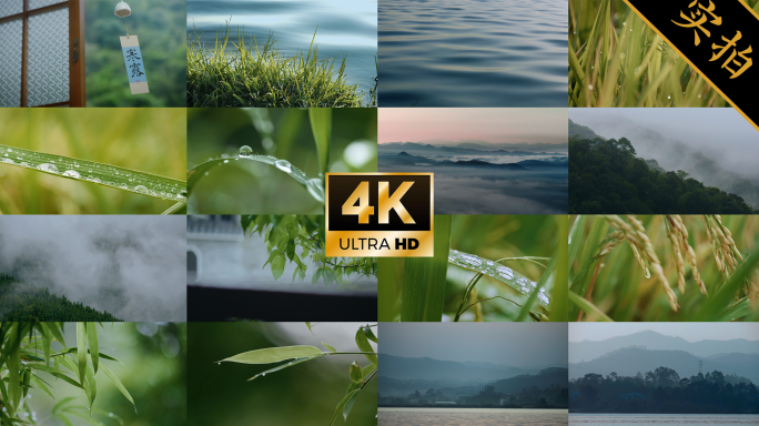 【4k寒露节气】露珠露水秋天唯美风景视频