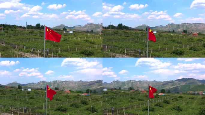 国旗 红旗飘飘 国庆 桃园 田园 白云