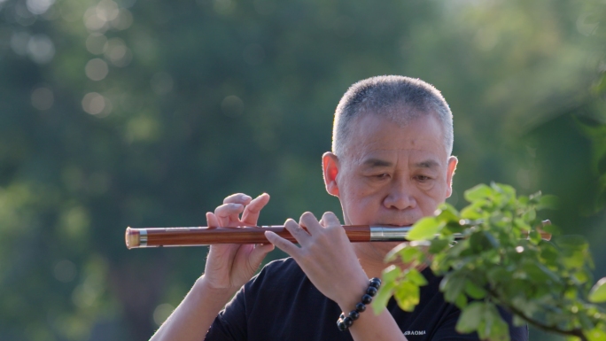 老人晚年幸福生活乐器摄影打拳