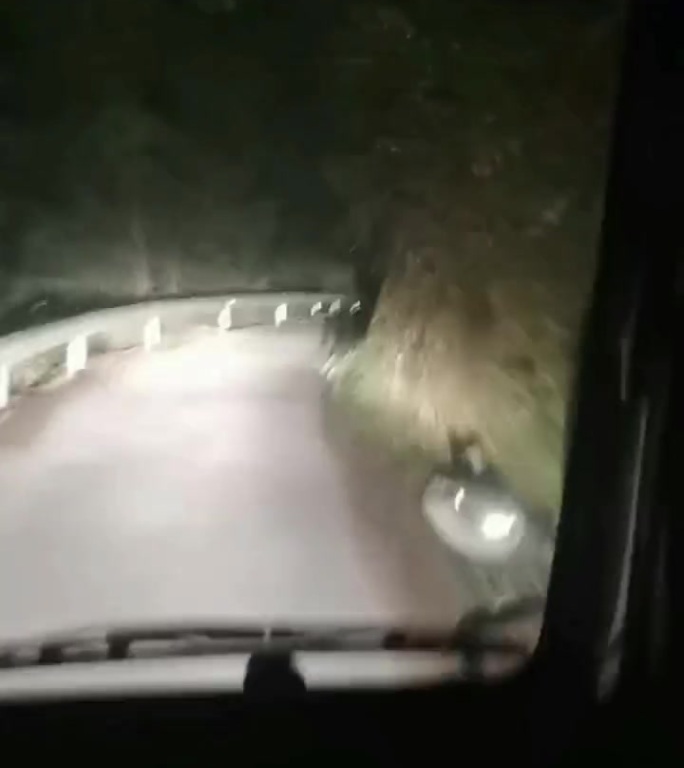 夜间 野外 驾驶 山路