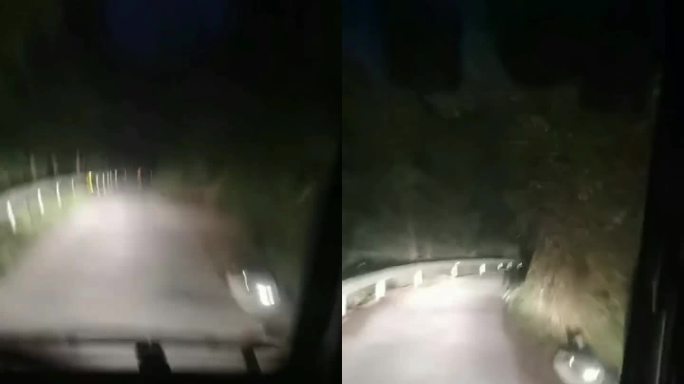 夜间 野外 驾驶 山路