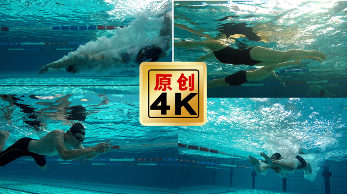 水下游泳视角 游泳比赛 游泳训练
