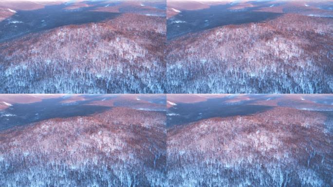 夕阳下的大兴安岭高山雾凇