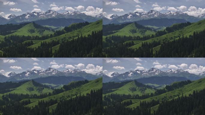 新疆伊犁恰西草原森林自然风光航拍