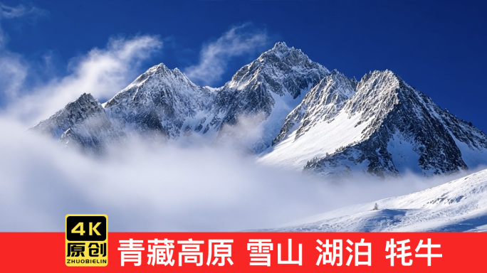 青藏高原 喜马拉雅雪山 湖泊 牦牛