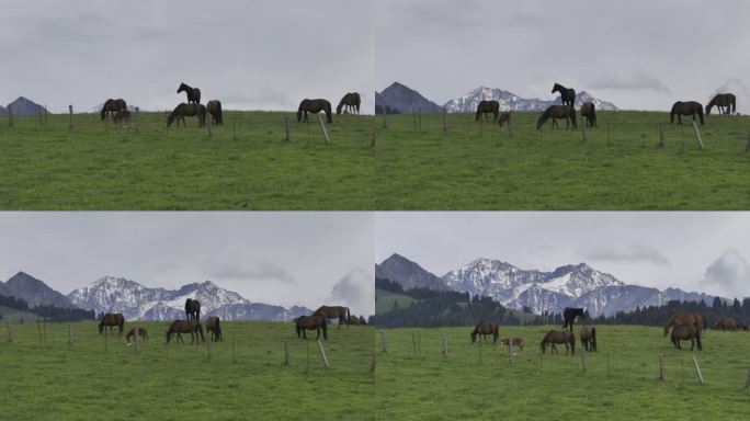 新疆伊犁琼库什台草原自然风光航拍